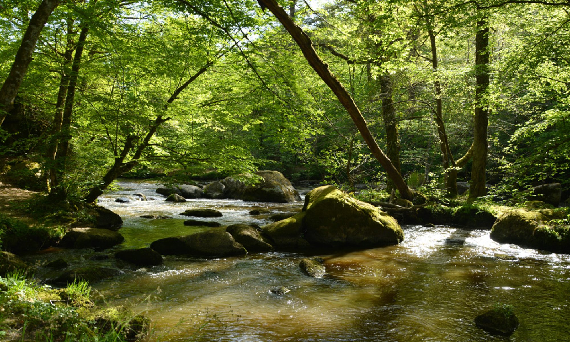 Rallye au fil de l'eau